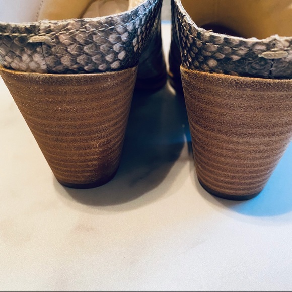 Dolce Vita Rian Snake Print Stella Mules 10 - Picture 4 of 9